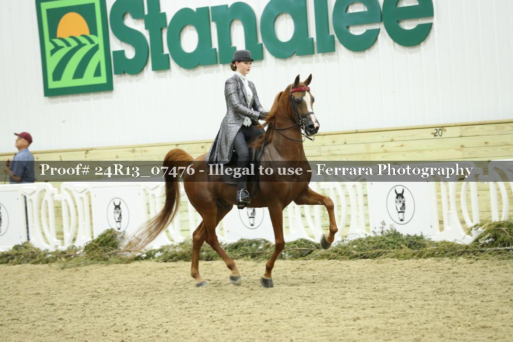Proof Number 24R13_07476
