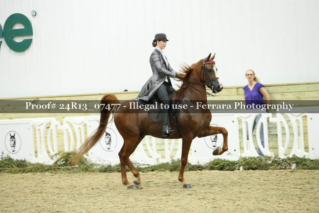 Proof Number 24R13_07477