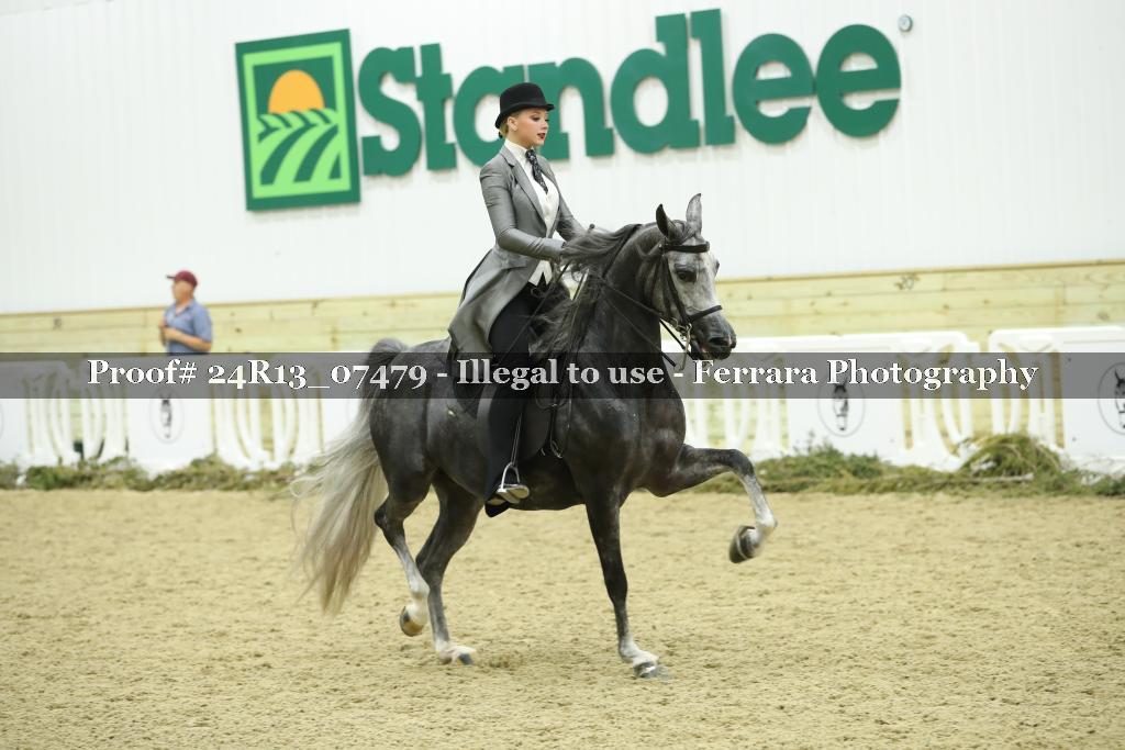 Proof Number 24R13_07479