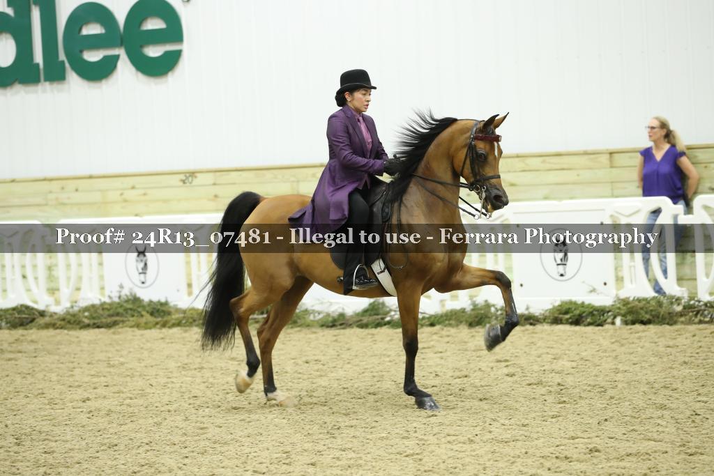 Proof Number 24R13_07481