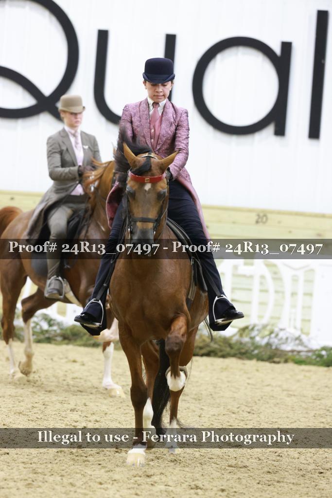 Proof Number 24R13_07497