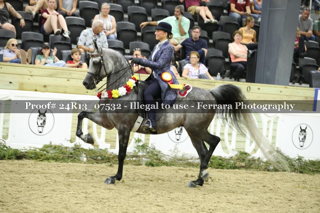 Proof Number 24R13_07532