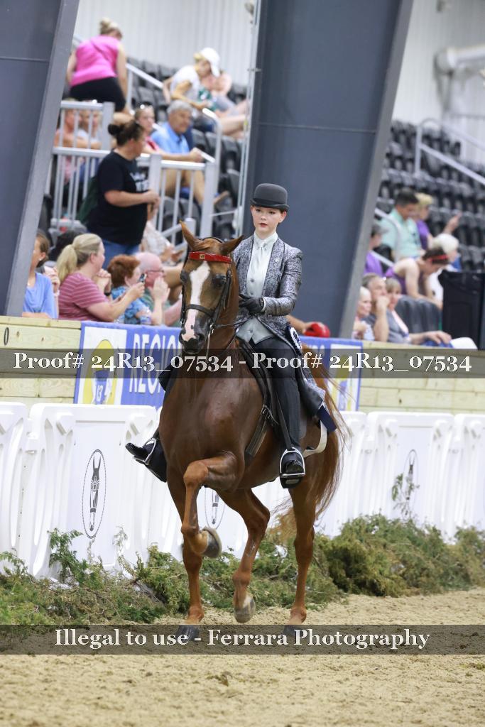 Proof Number 24R13_07534