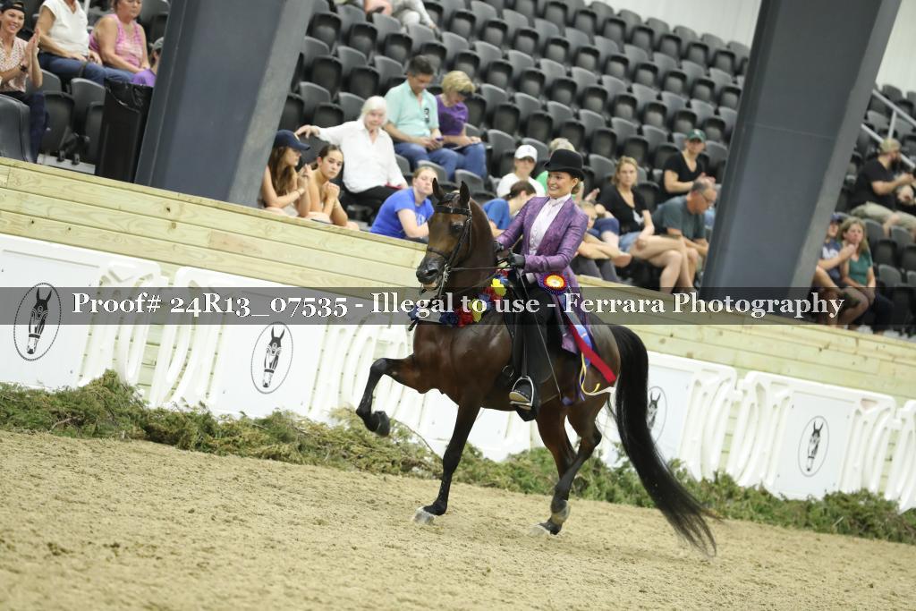 Proof Number 24R13_07535