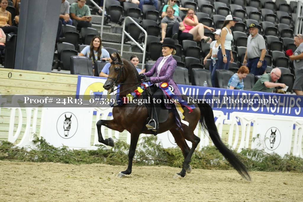 Proof Number 24R13_07539