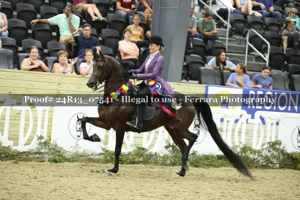 Proof Number 24R13_07541