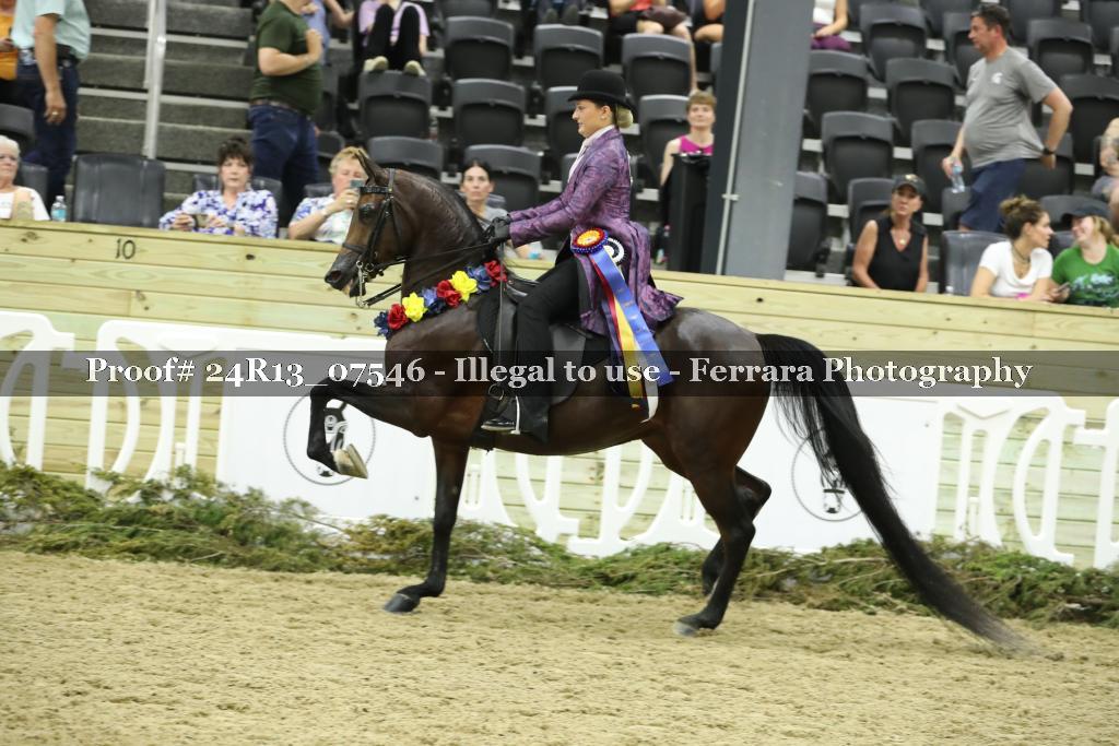 Proof Number 24R13_07546