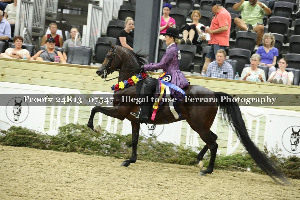 Proof Number 24R13_07547