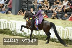 24R13_07548 thumbnail