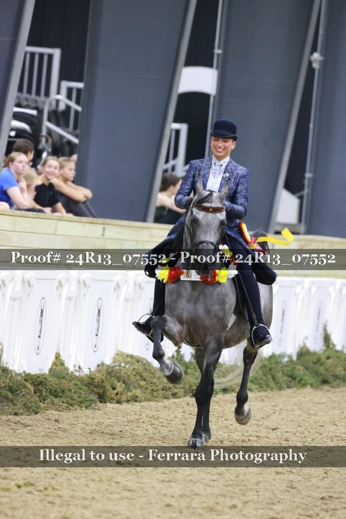 Proof Number 24R13_07552