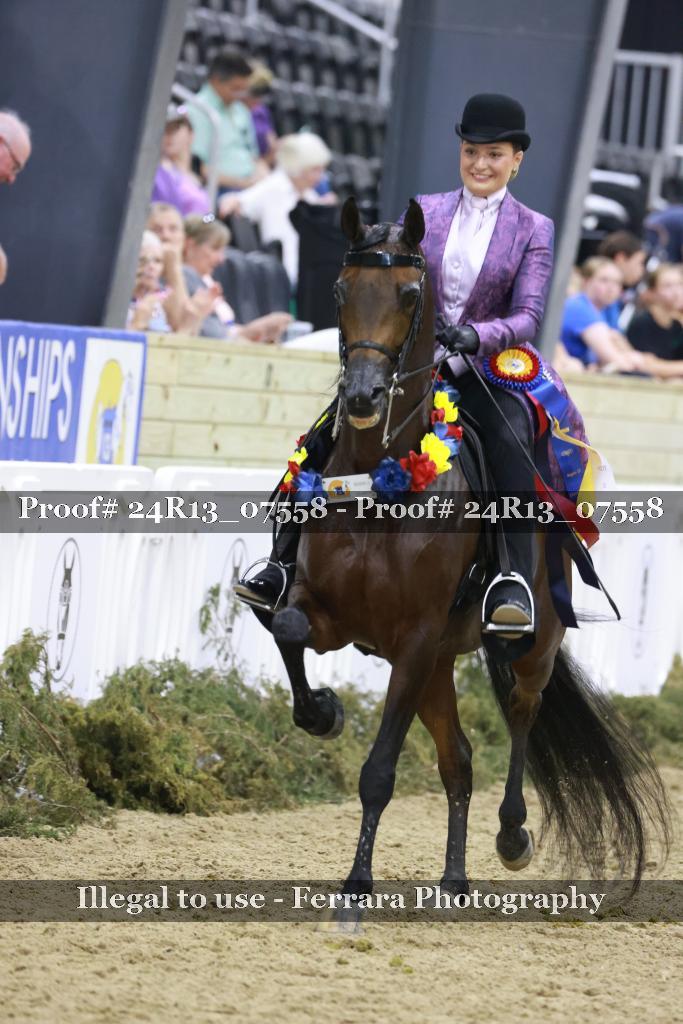 Proof Number 24R13_07558