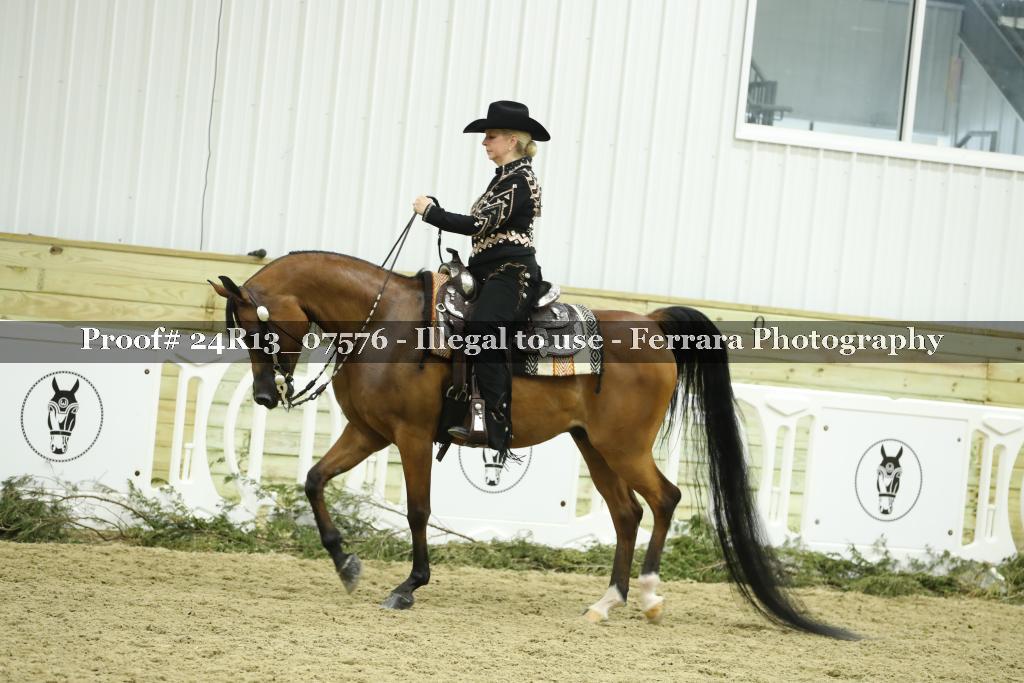 Proof Number 24R13_07576