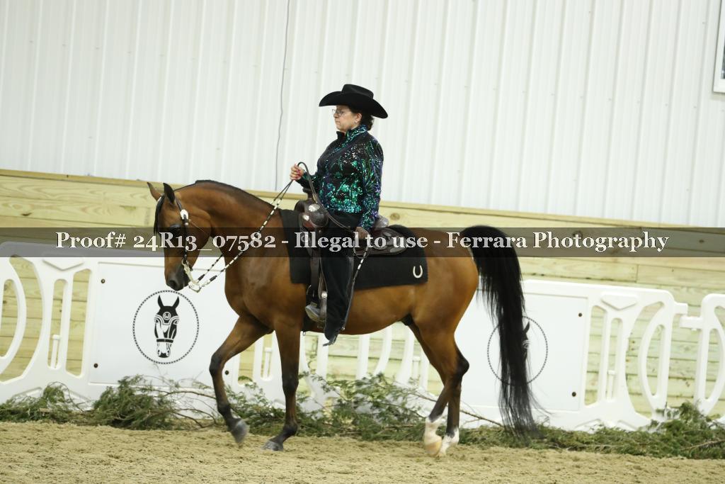 Proof Number 24R13_07582