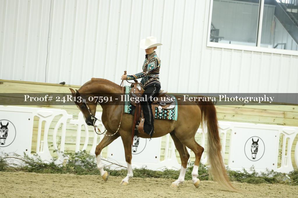 Proof Number 24R13_07591