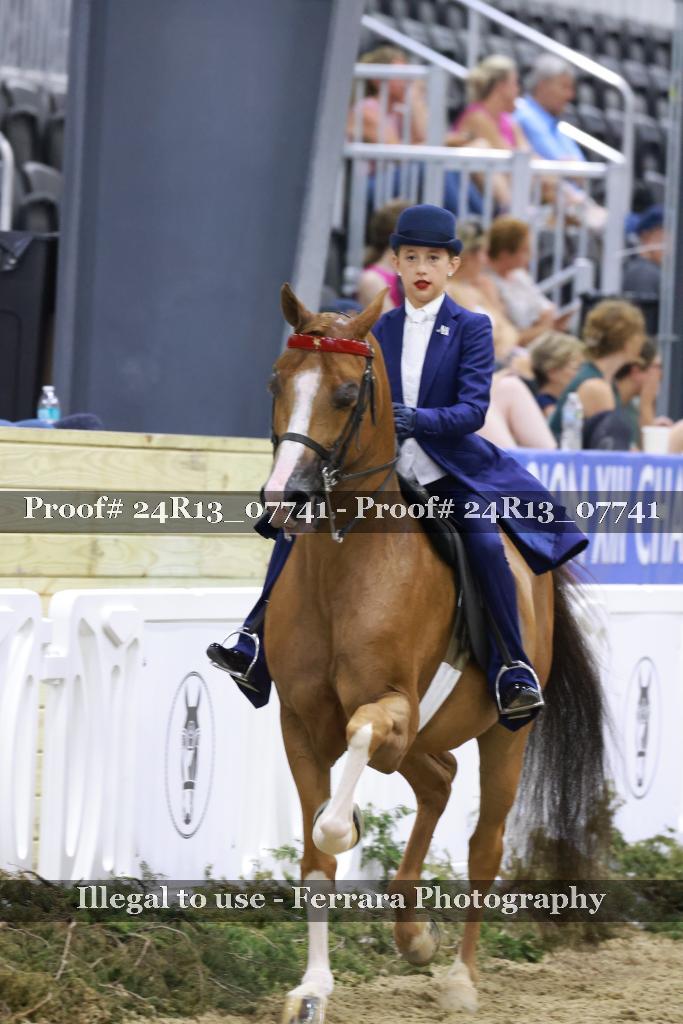 Proof Number 24R13_07741