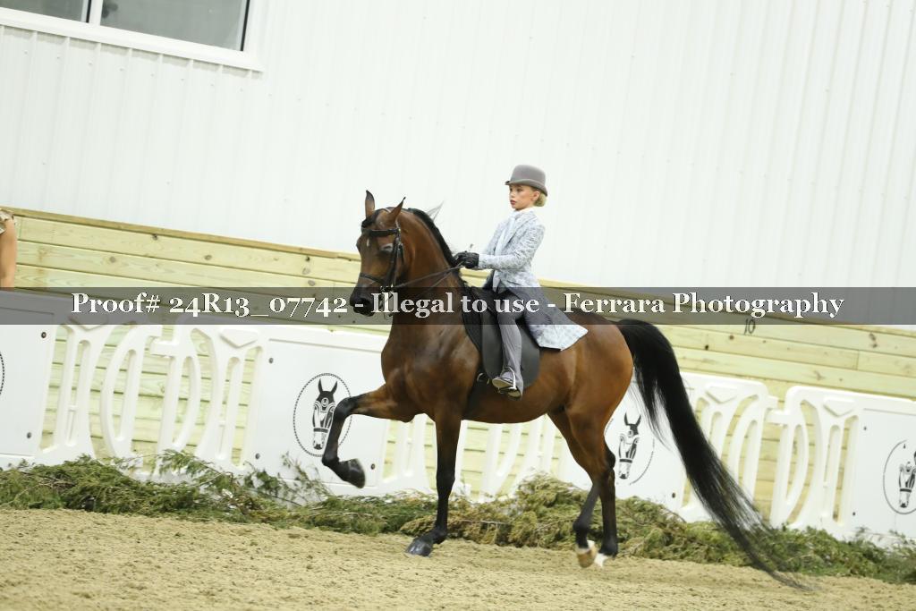 Proof Number 24R13_07742