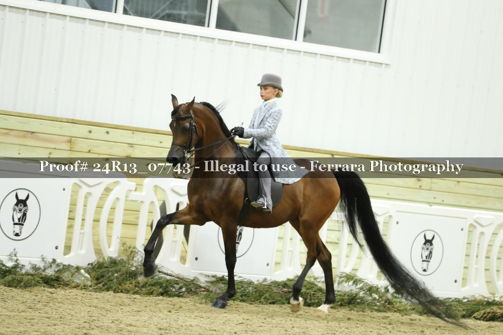 Proof Number 24R13_07743
