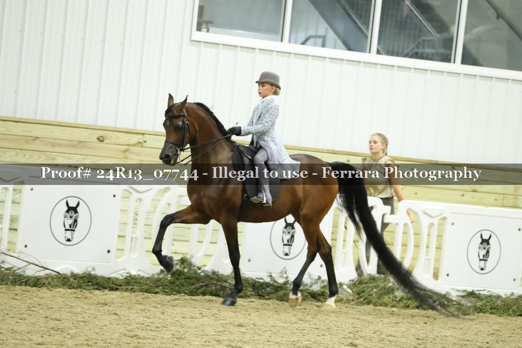 Proof Number 24R13_07744