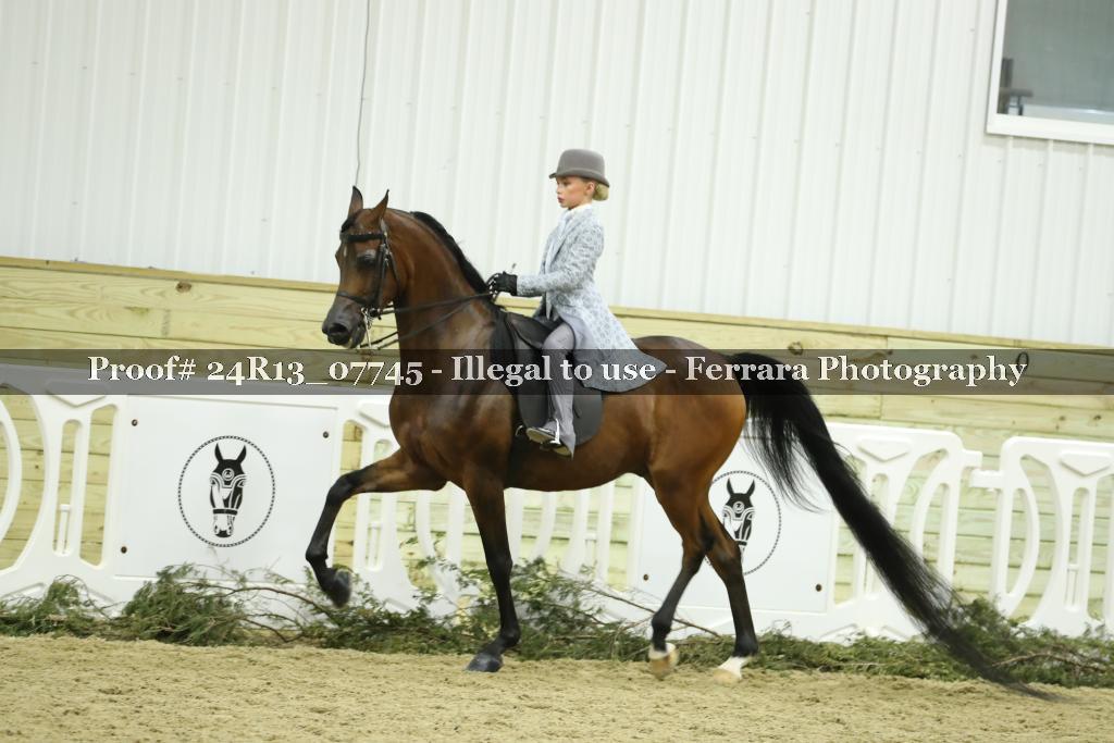 Proof Number 24R13_07745