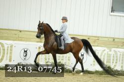24R13_07745 thumbnail