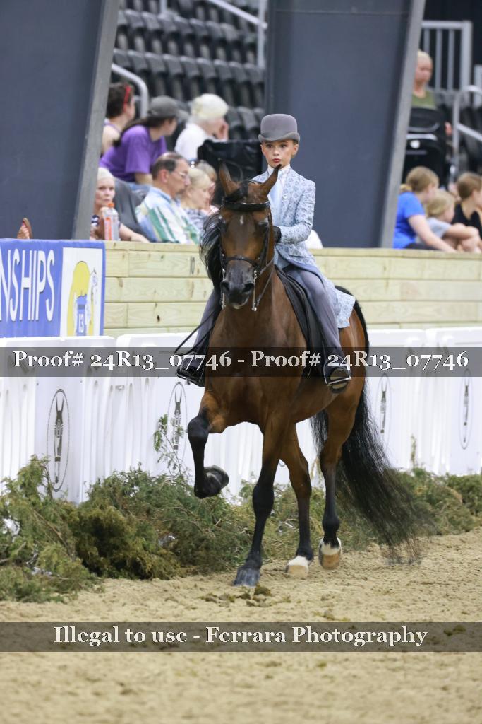 Proof Number 24R13_07746