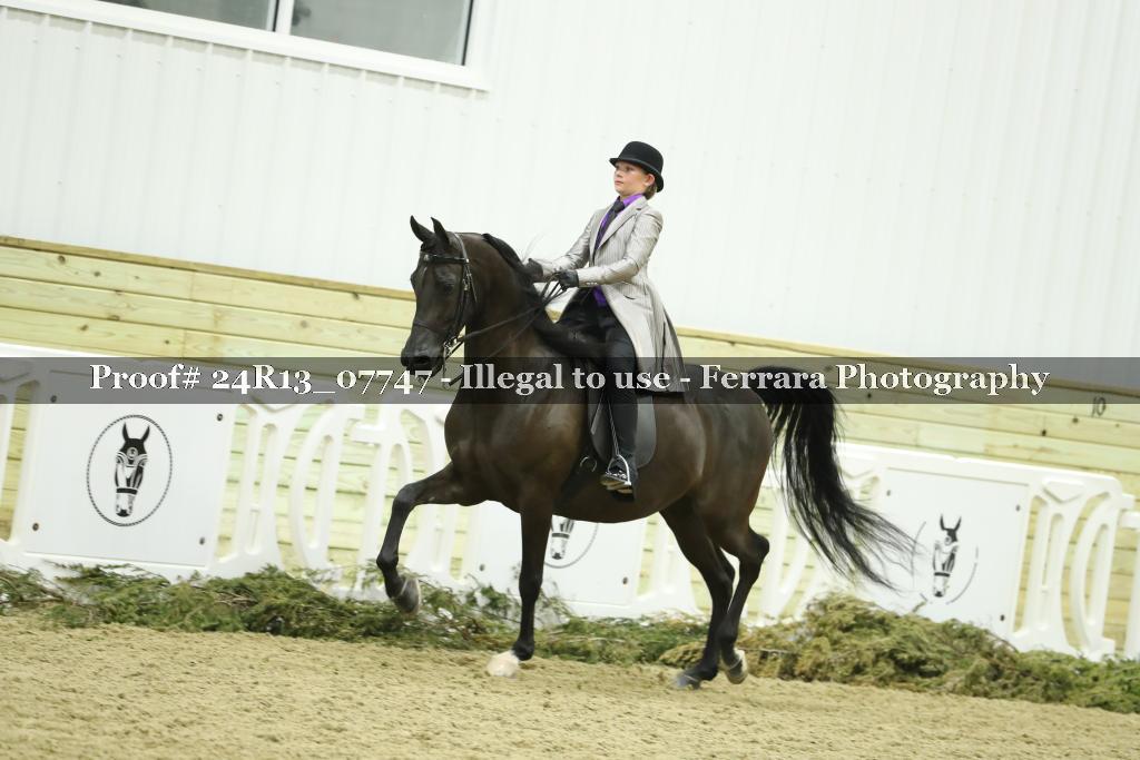 Proof Number 24R13_07747
