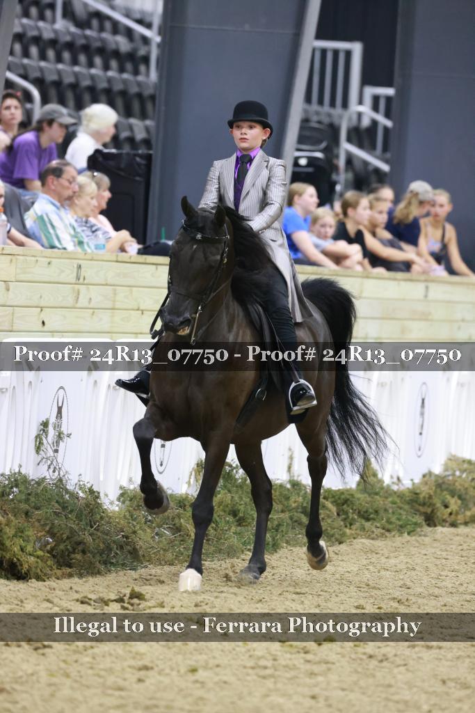 Proof Number 24R13_07750
