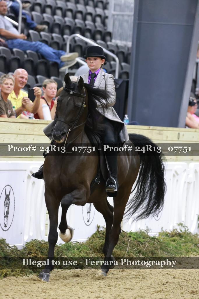 Proof Number 24R13_07751