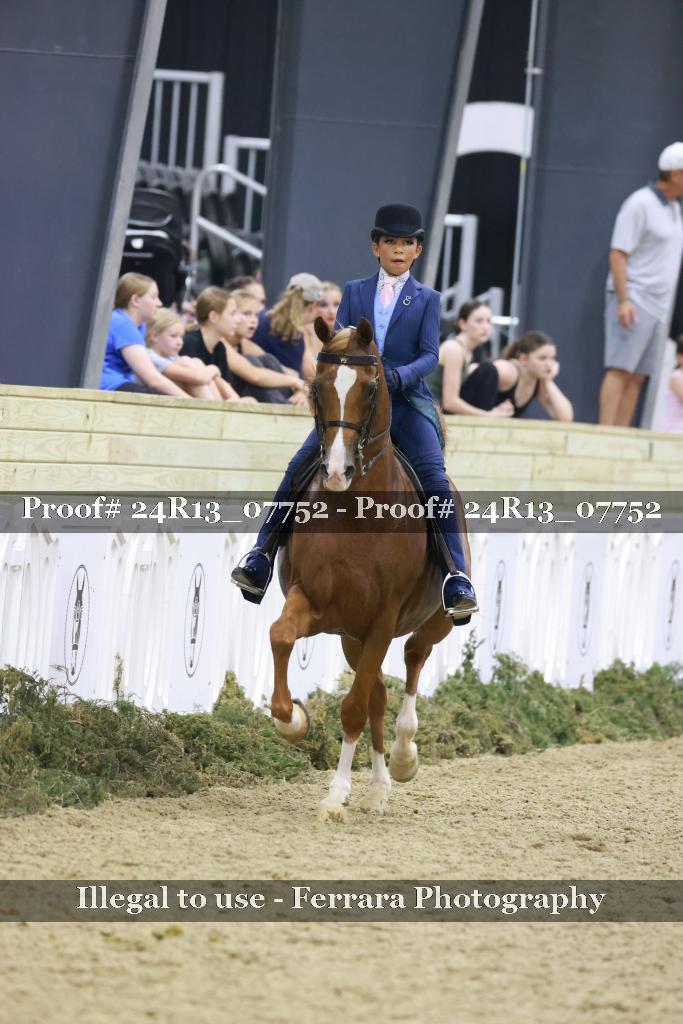 Proof Number 24R13_07752