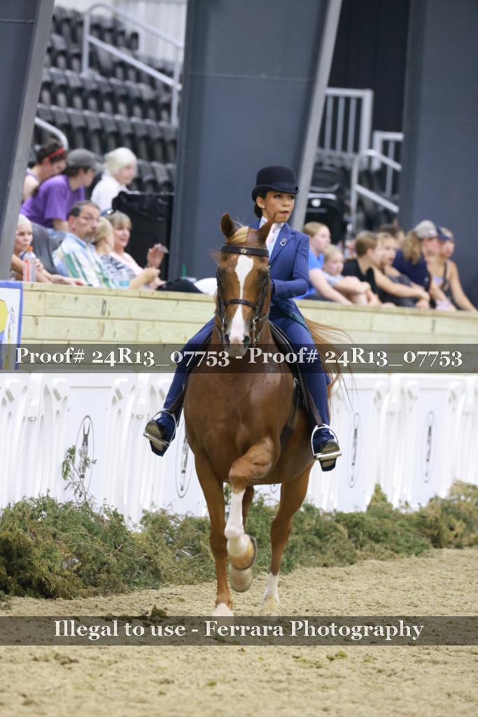 Proof Number 24R13_07753