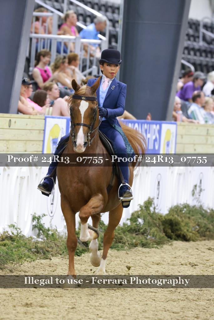 Proof Number 24R13_07755