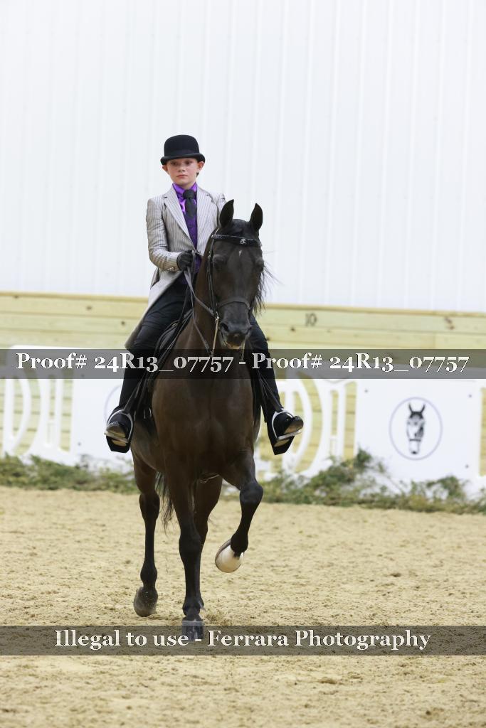Proof Number 24R13_07757