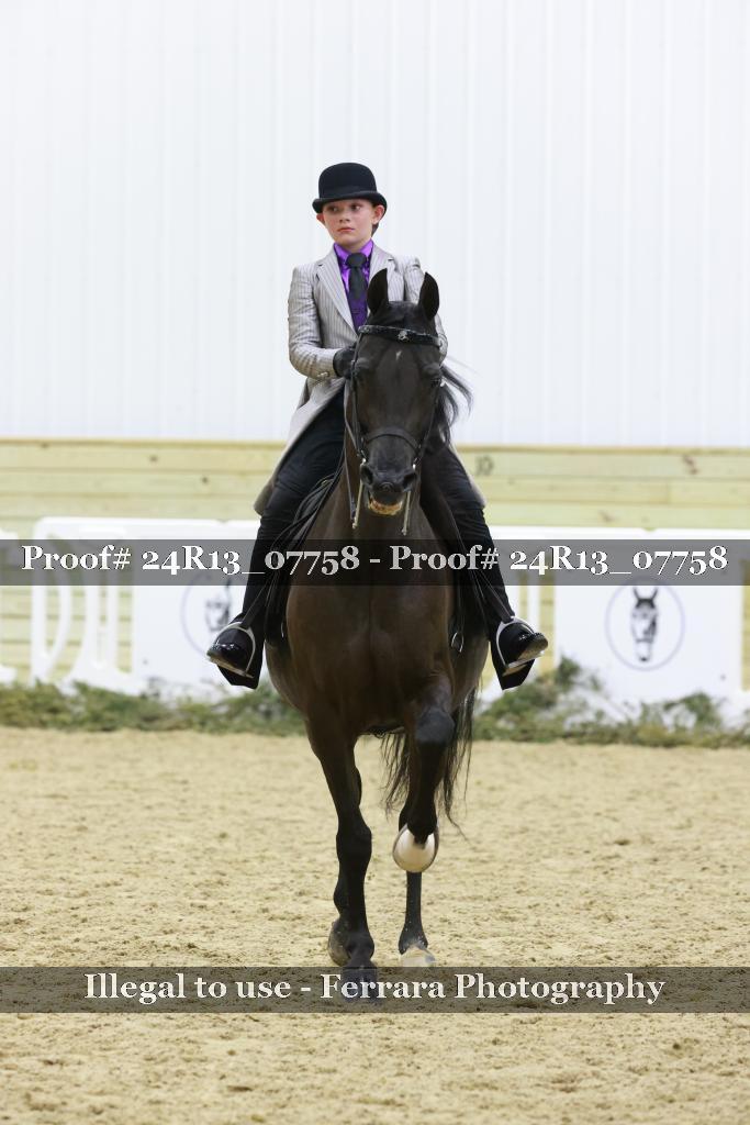 Proof Number 24R13_07758