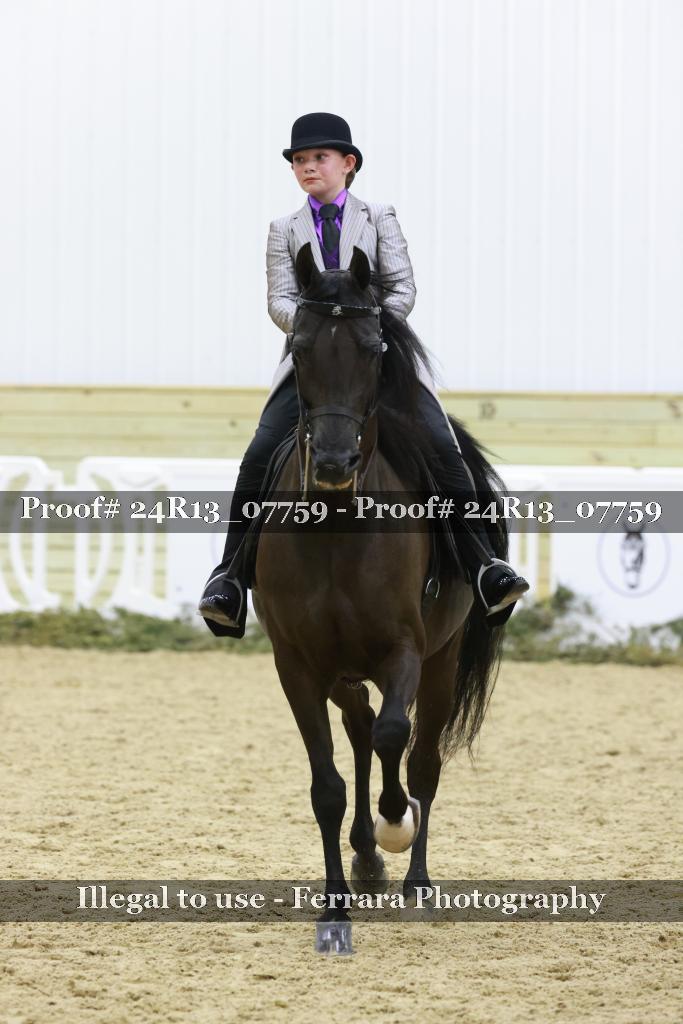 Proof Number 24R13_07759