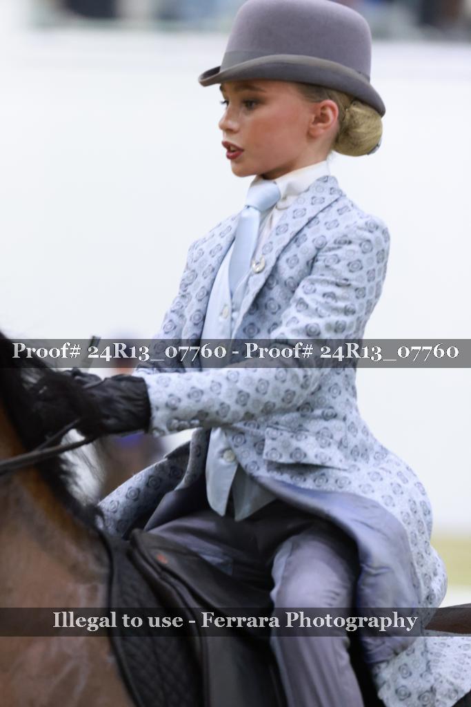Proof Number 24R13_07760