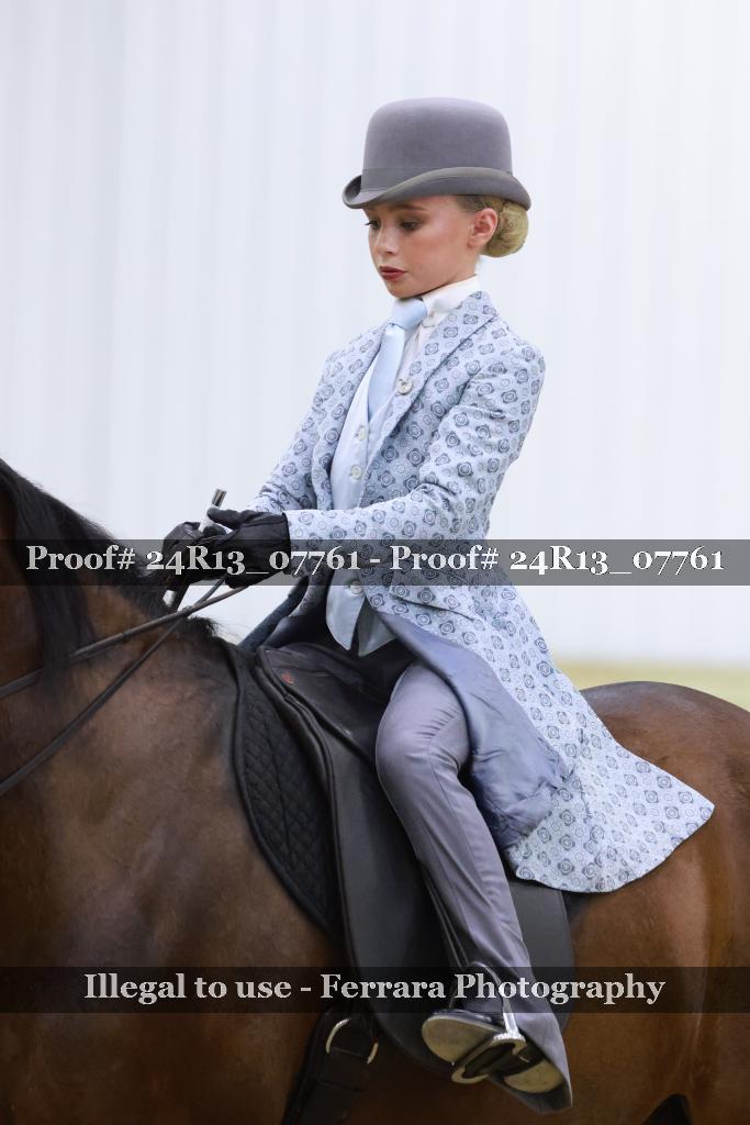 Proof Number 24R13_07761