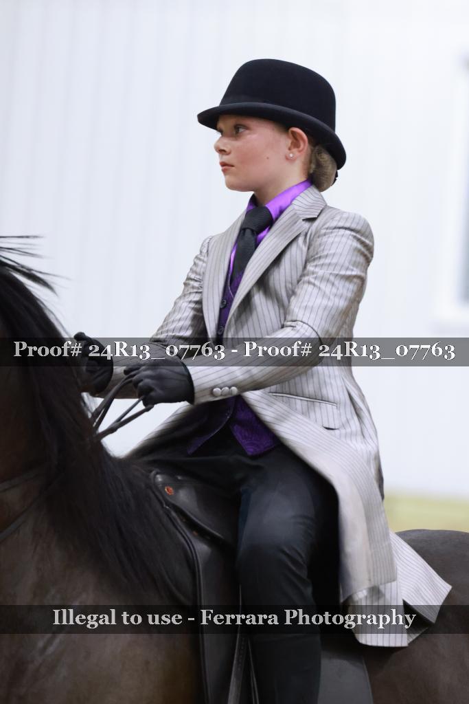 Proof Number 24R13_07763