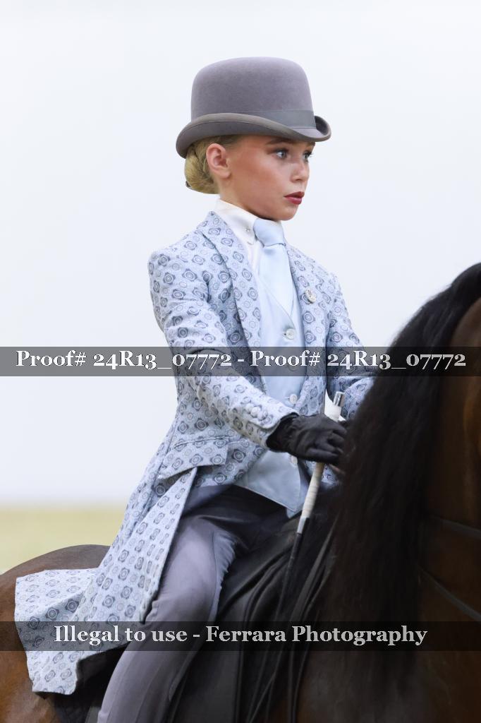 Proof Number 24R13_07772