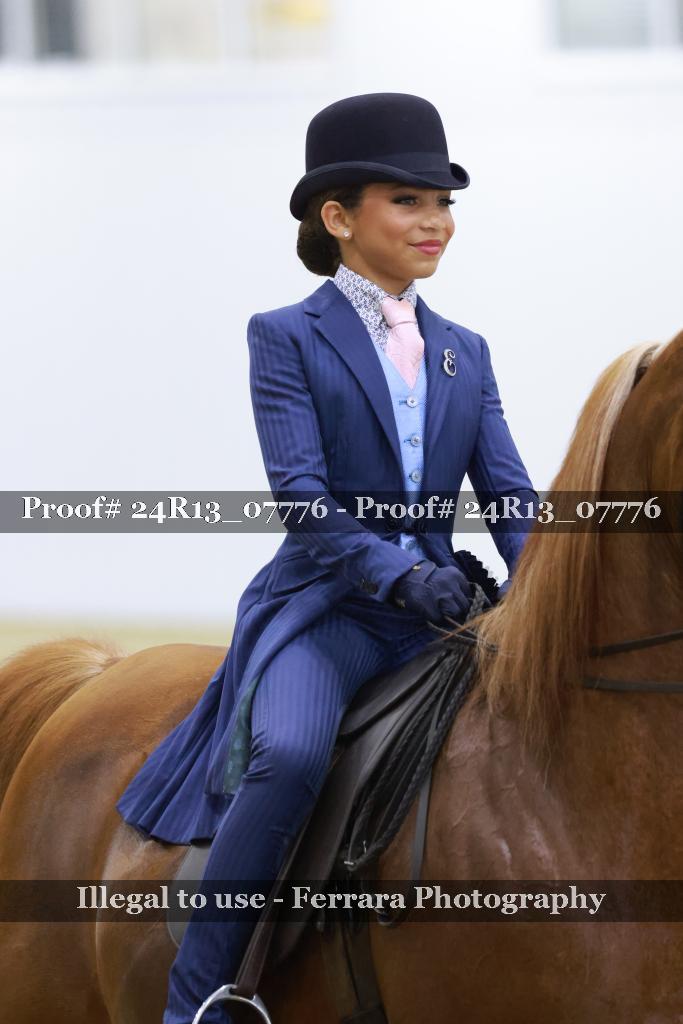 Proof Number 24R13_07776