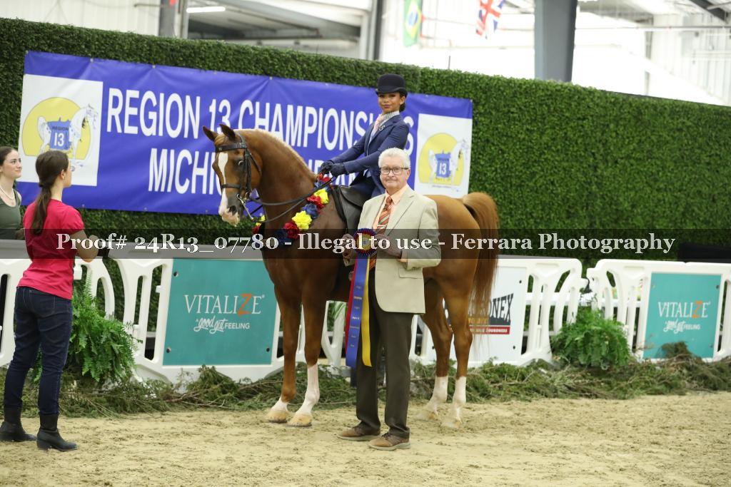 Proof Number 24R13_07780