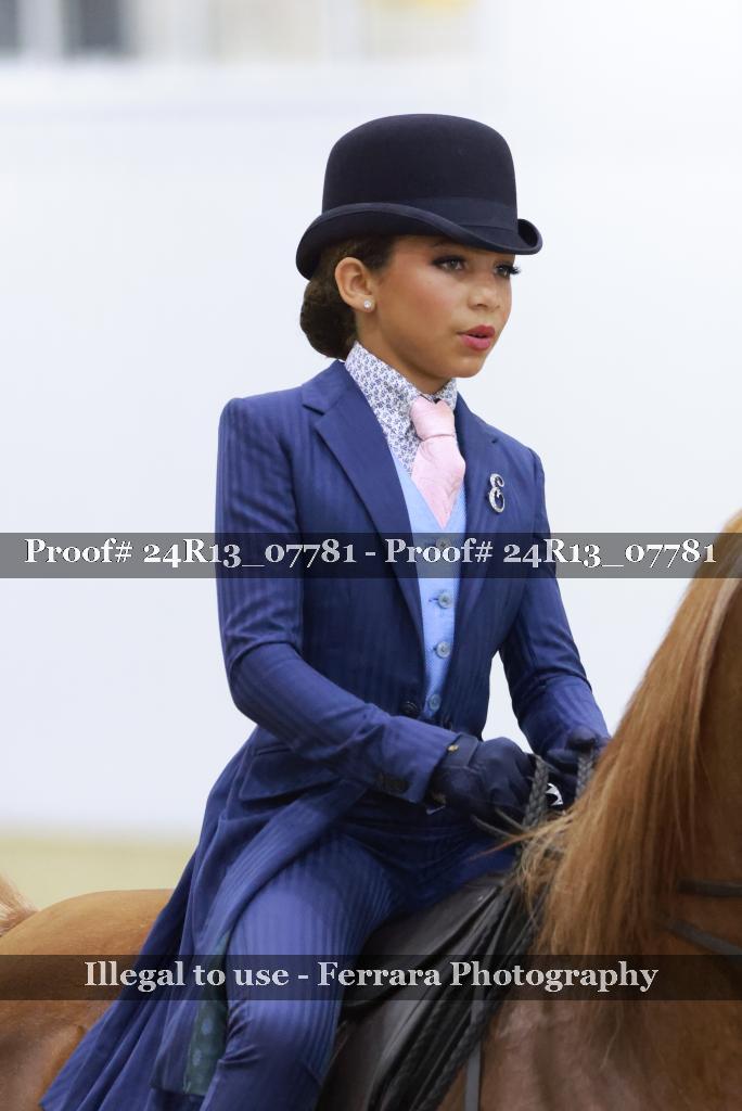 Proof Number 24R13_07781