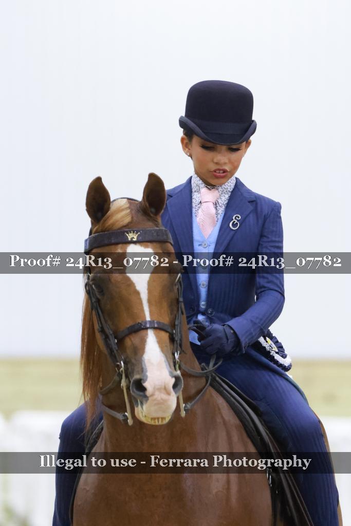 Proof Number 24R13_07782