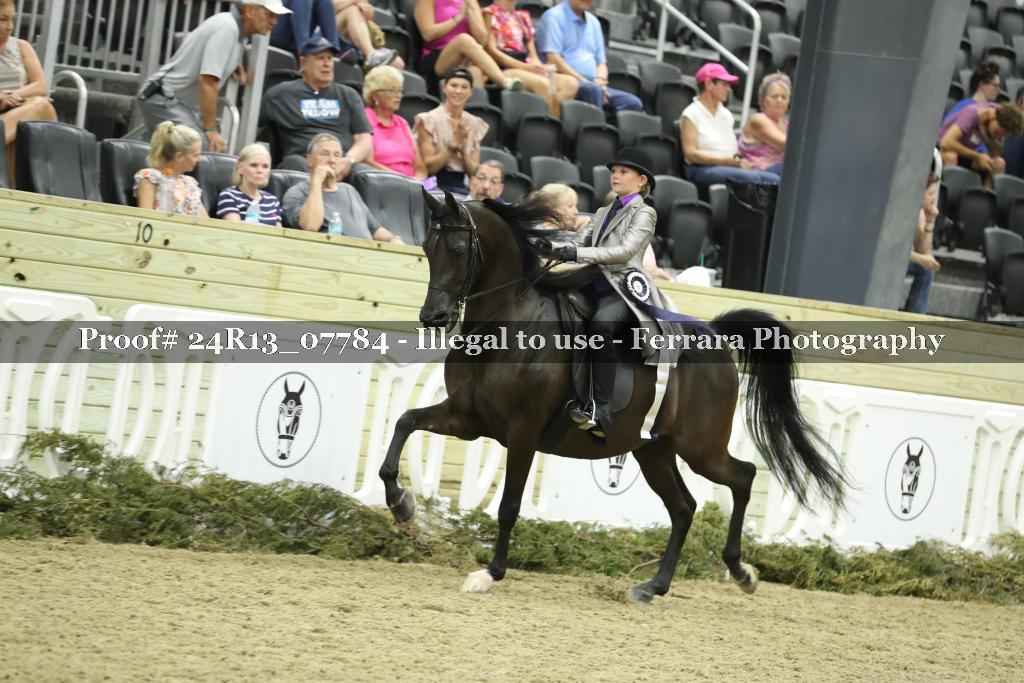 Proof Number 24R13_07784