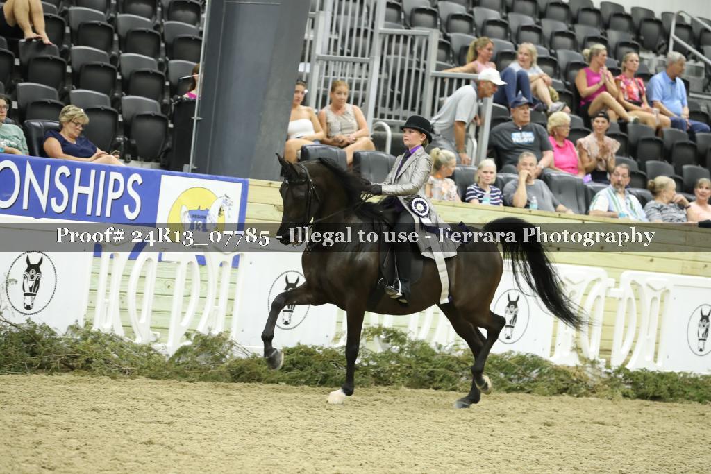 Proof Number 24R13_07785