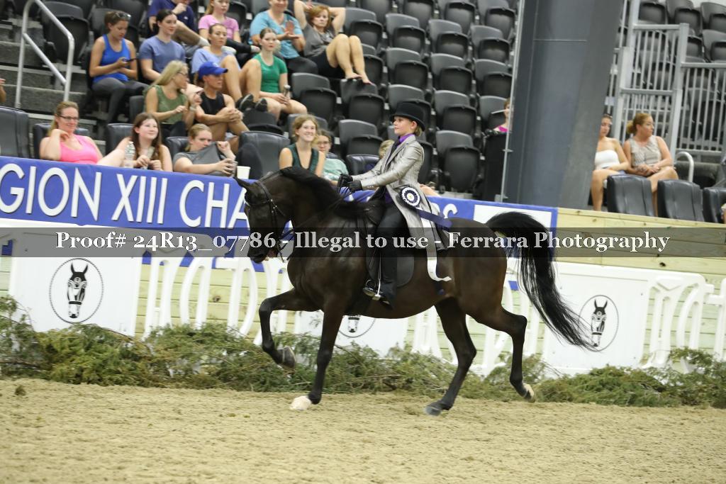 Proof Number 24R13_07786
