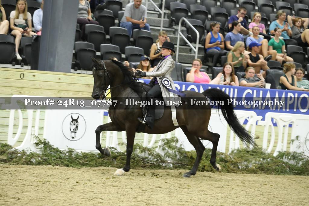 Proof Number 24R13_07787
