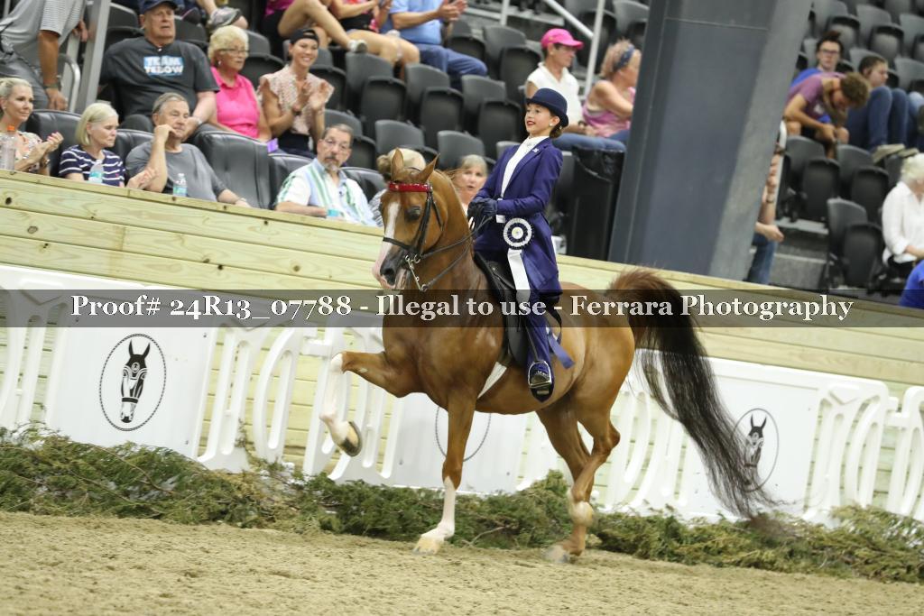 Proof Number 24R13_07788