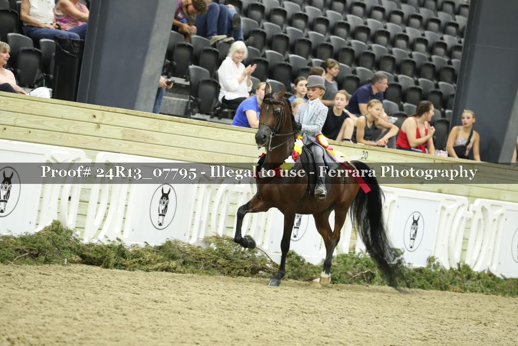 Proof Number 24R13_07795
