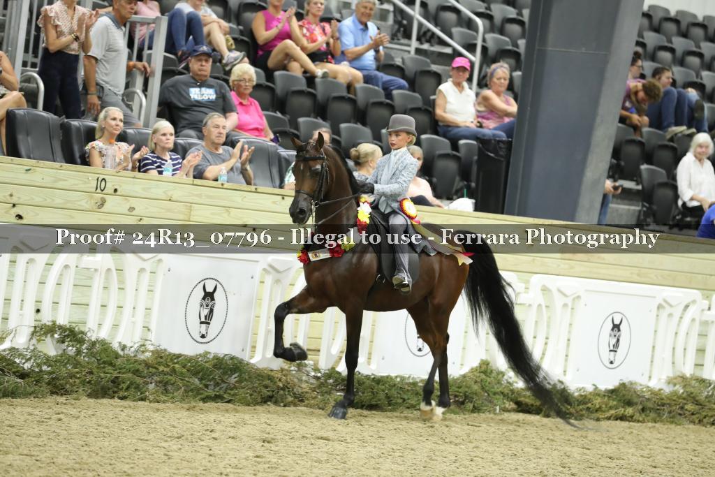 Proof Number 24R13_07796