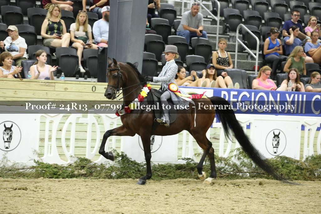 Proof Number 24R13_07799